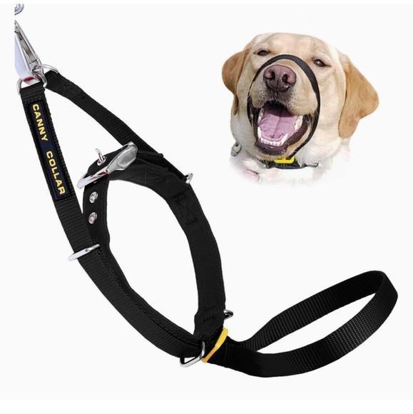 Canny Collar SZ 4 No Pull Dog Collar - Picture 2 of 16